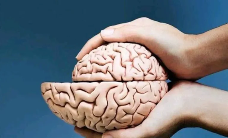 6 Bad Habits That Lead to Brain Degeneration